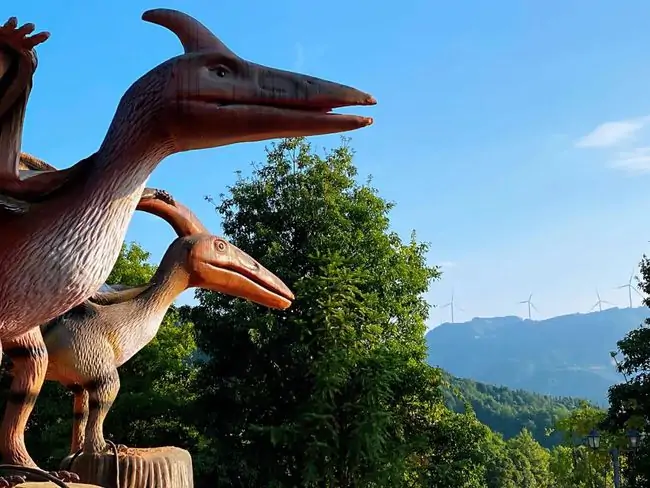 江西赣州会仙谷恐龙主题公园项目实景 26