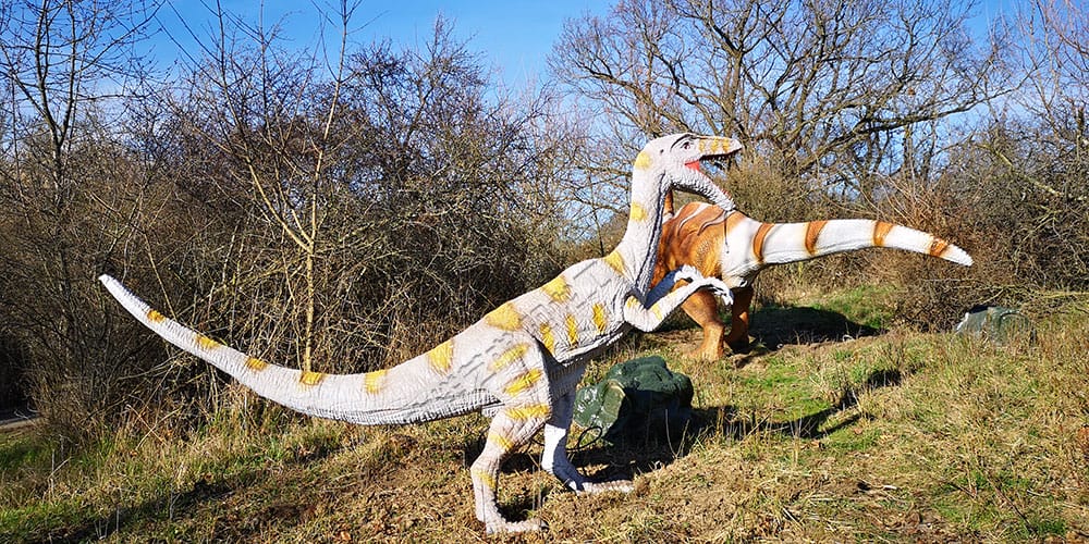 捷克 Dino Live 自然恐龙公园项目实景 19