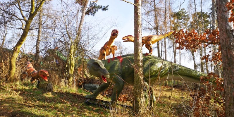 捷克 Dino Live 自然恐龙公园项目实景 34