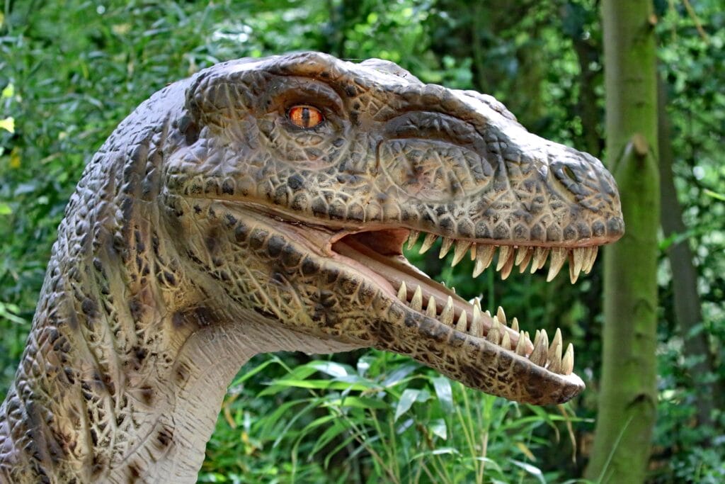 英国 Dinopark 恐龙公园项目实景 2