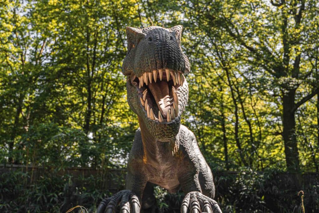 英国 Dinopark 恐龙公园项目实景 10